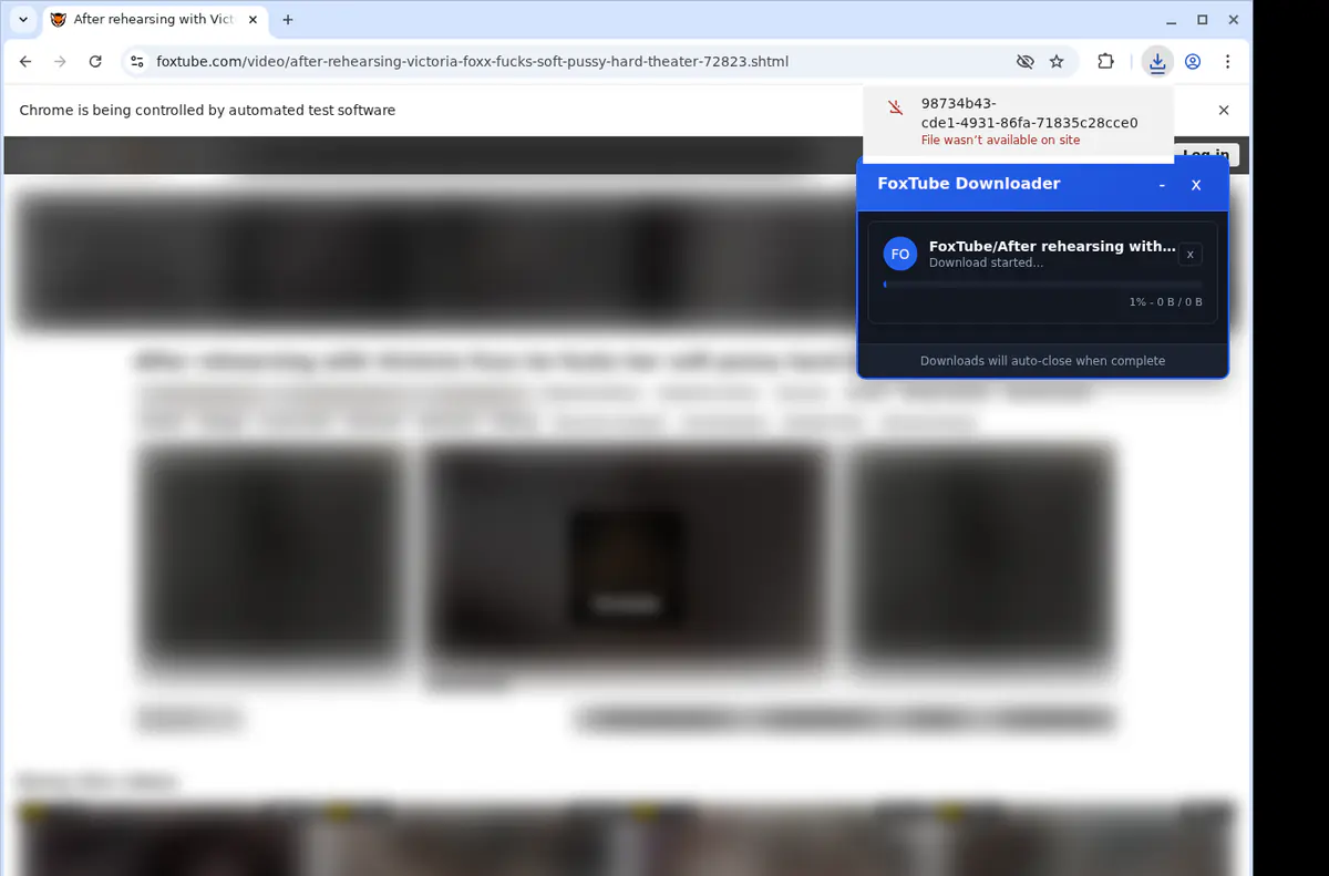 Foxtube Video Downloader browser extension screenshot 2