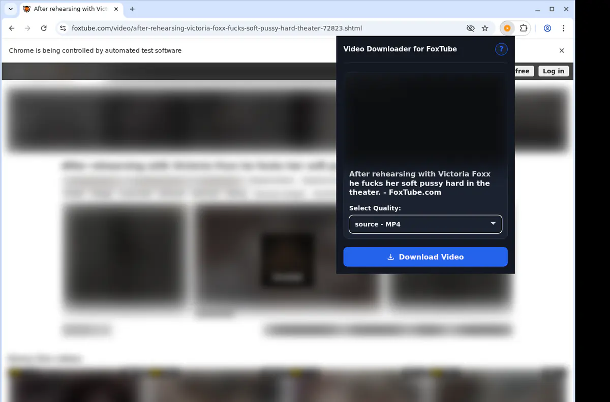 Foxtube Video Downloader browser extension screenshot 3
